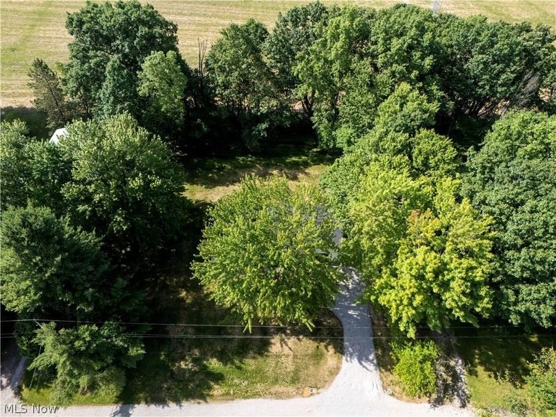8934 State Route 19, Galion, OH 44833 Photo 26