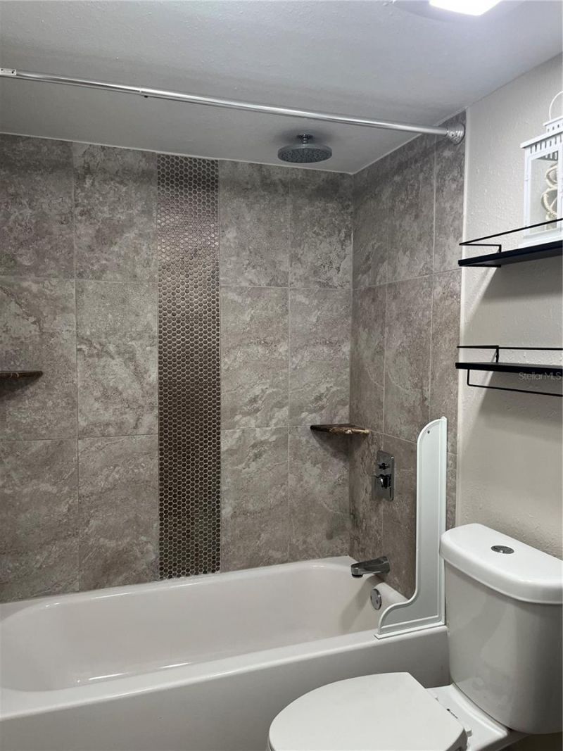 528 Golden Raintree Place, Brandon, FL 33510 Photo