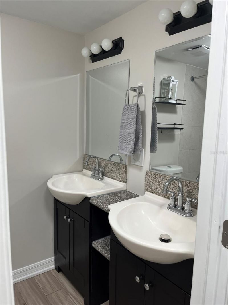 528 Golden Raintree Place, Brandon, FL 33510 Photo