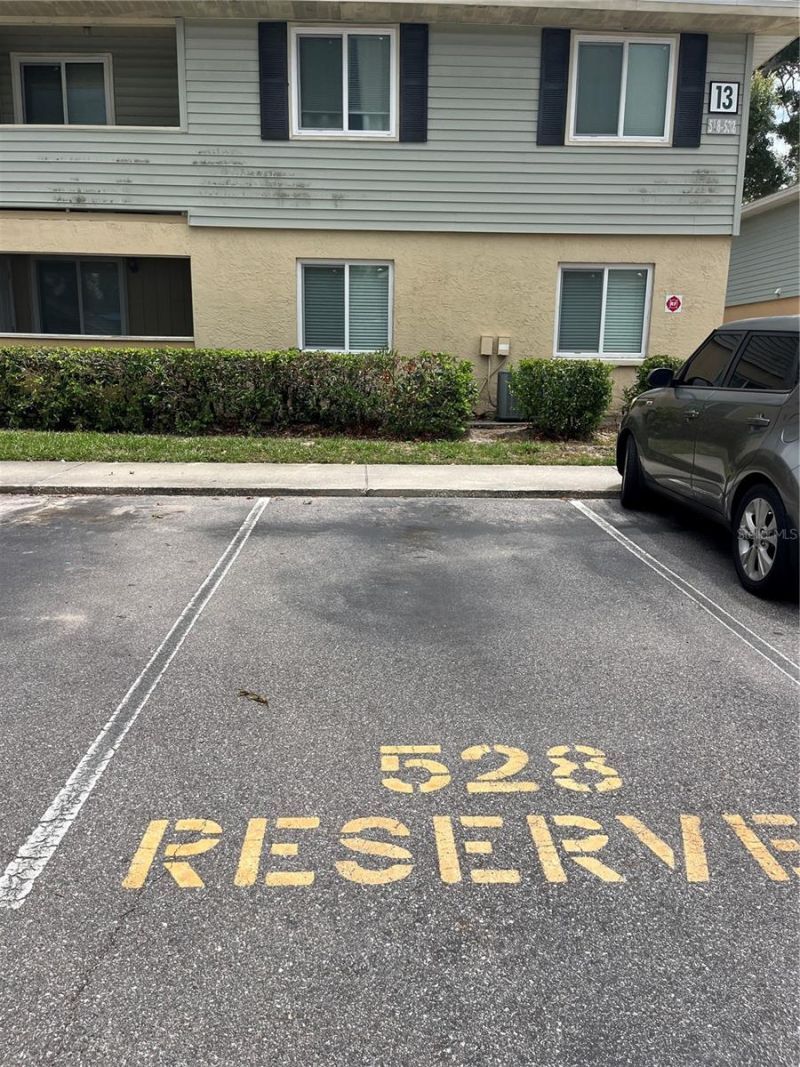 528 Golden Raintree Place, Brandon, FL 33510 Photo