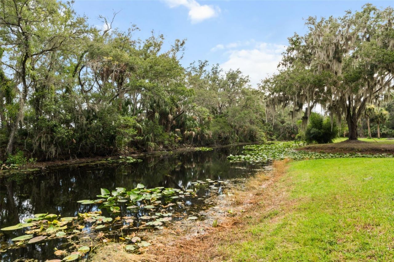 7938 Jacksons River Road , Leesburg, FL 34788 Photo