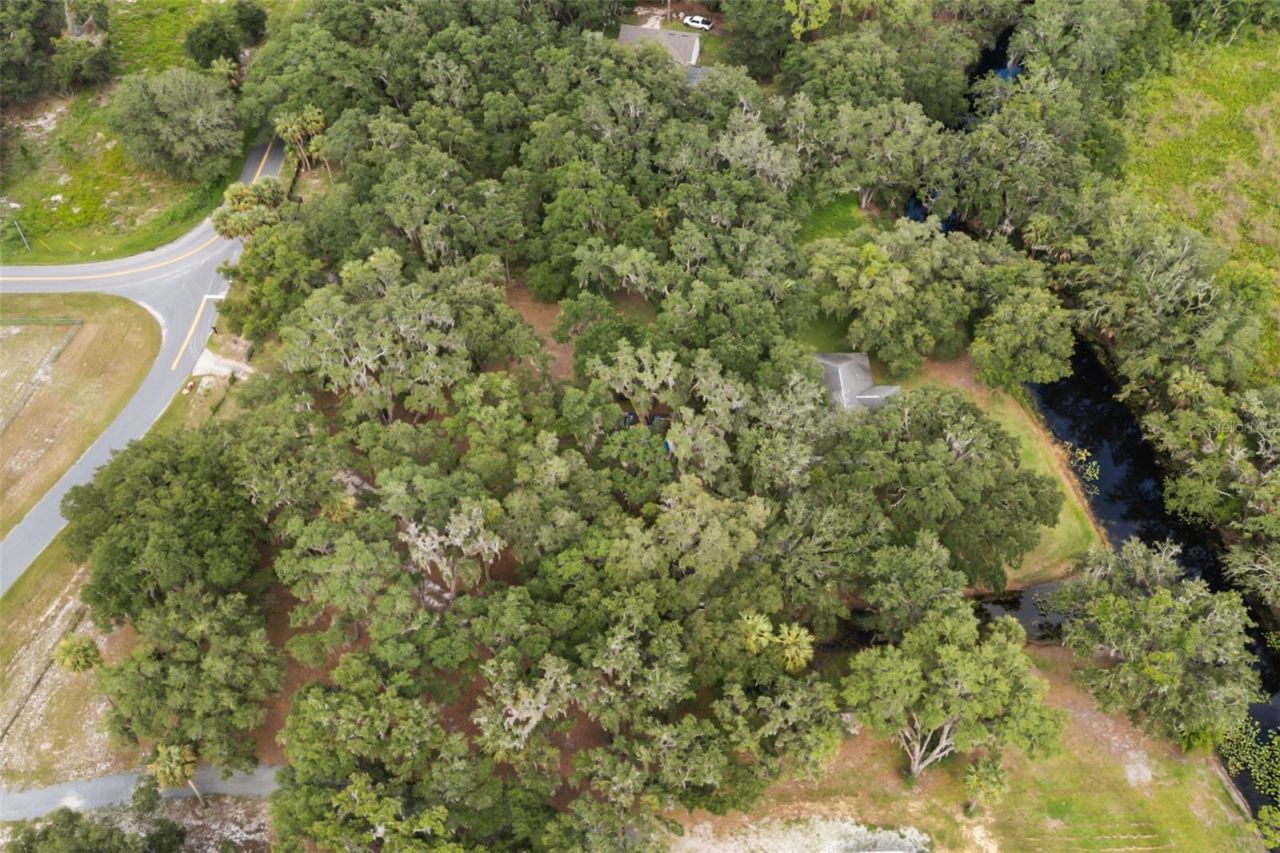 7938 Jacksons River Road , Leesburg, FL 34788 Photo