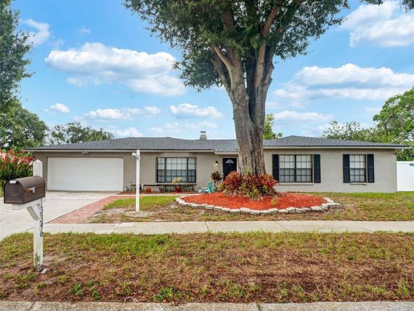 13346 MORAN DRIVE , TAMPA, FL 33618