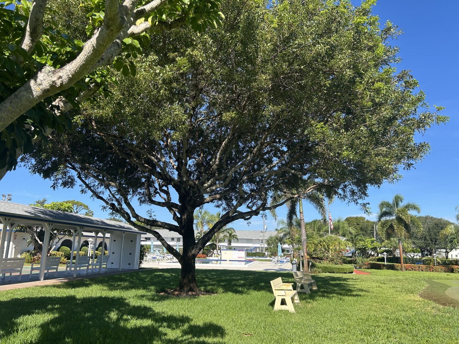 4 Westwood Avenue, Jupiter, FL 33469 Photo