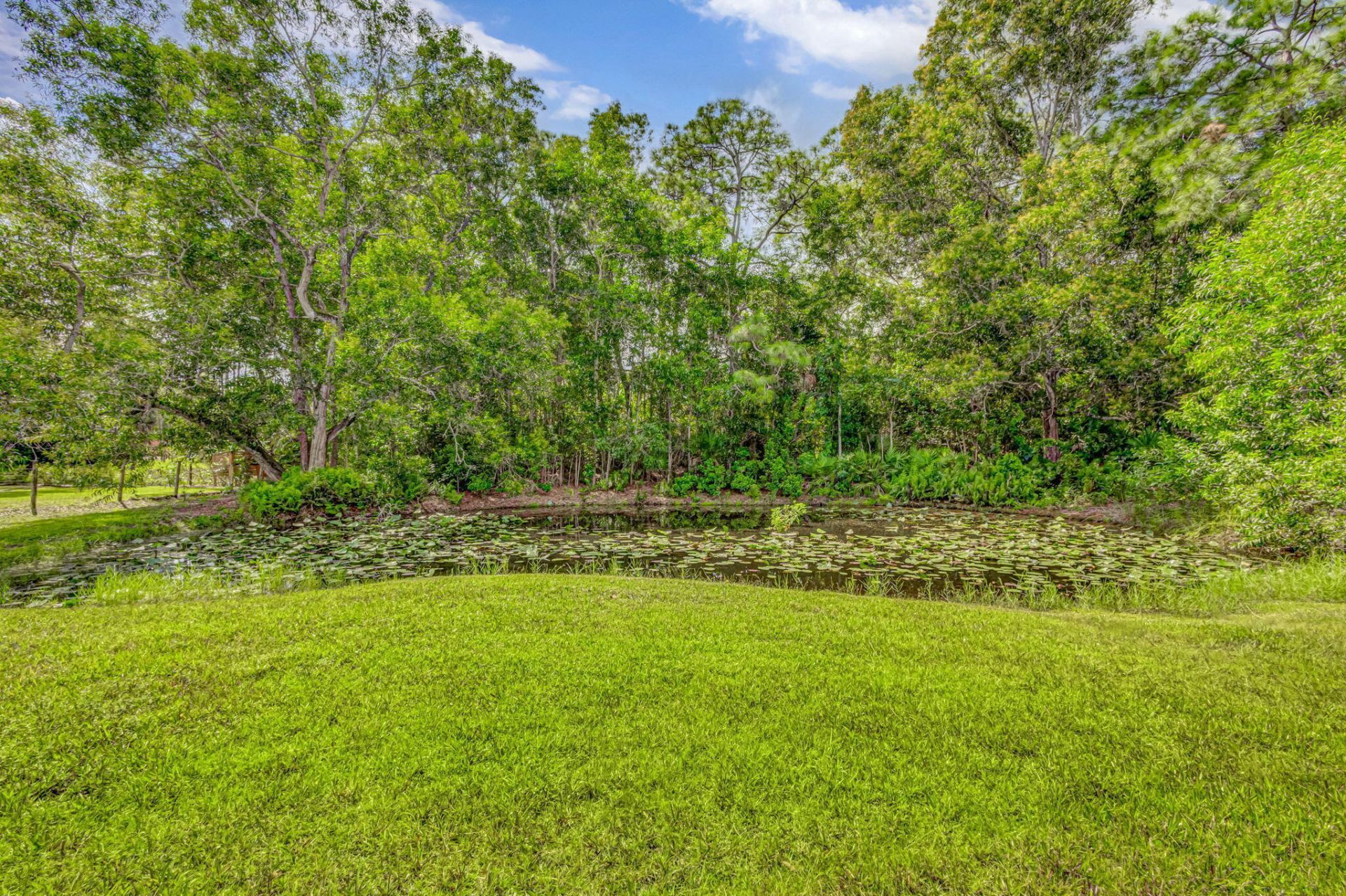 12168 Sandy Run, Jupiter Farms, FL 33478 Photo