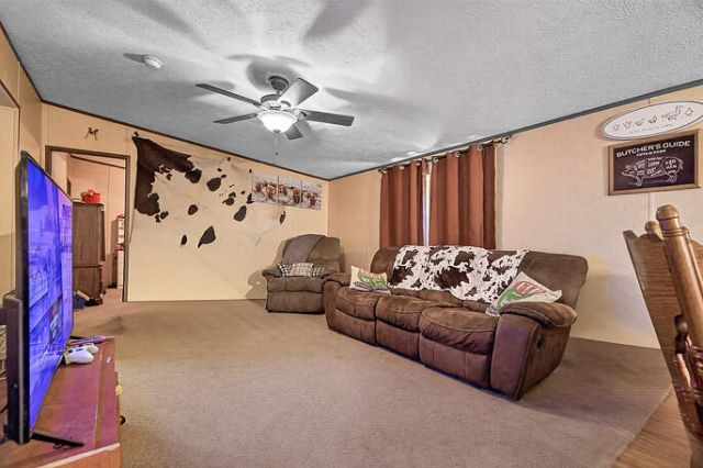 67 Freeman Lane Photo 10