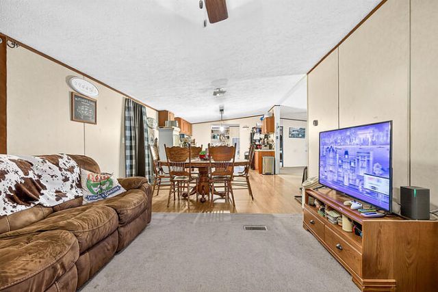 67 Freeman Lane Photo 11