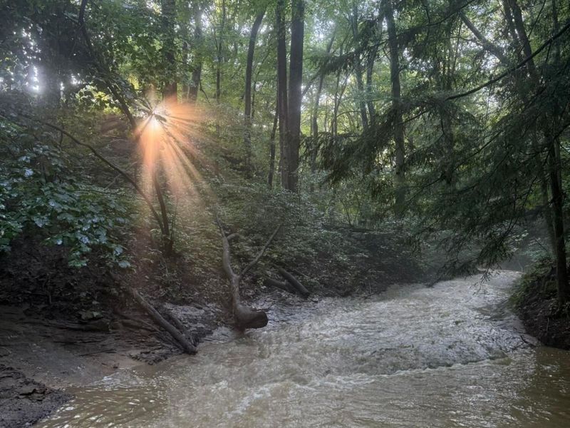 13338 Middlefork Road, Rockbridge, OH 43149 Photo 33