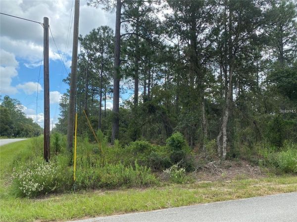 00 SW BUENA VISTA ROAD , DUNNELLON, FL 34431