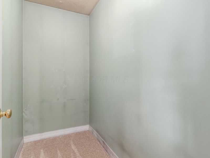 247 Kastlekove Drive, Lewis Center, OH 43035 Photo 19