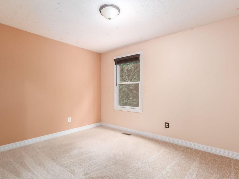 247 Kastlekove Drive, Lewis Center, OH 43035 Photo 20