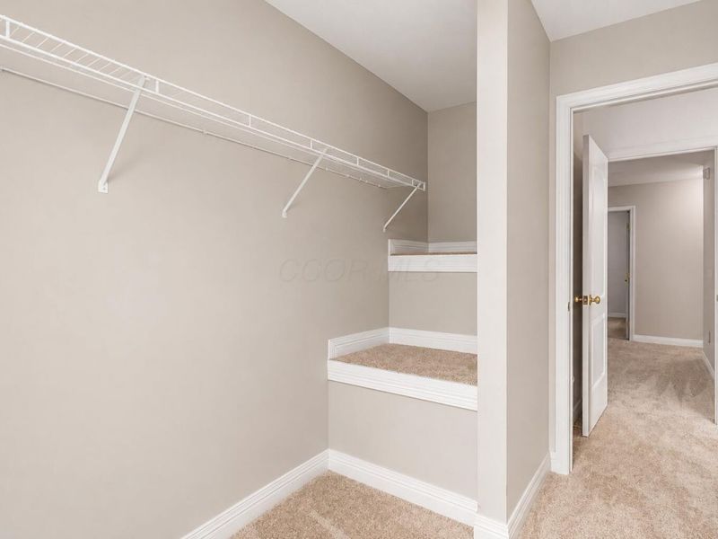 247 Kastlekove Drive, Lewis Center, OH 43035 Photo 27