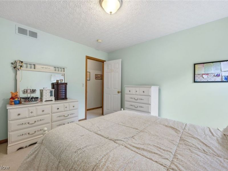 100 Bellmore Street, Painesville Township, OH 44077 Photo 33