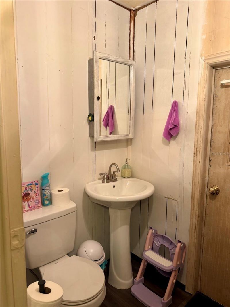 13030 NE 249 Court, Salt Springs, FL 32134 Photo