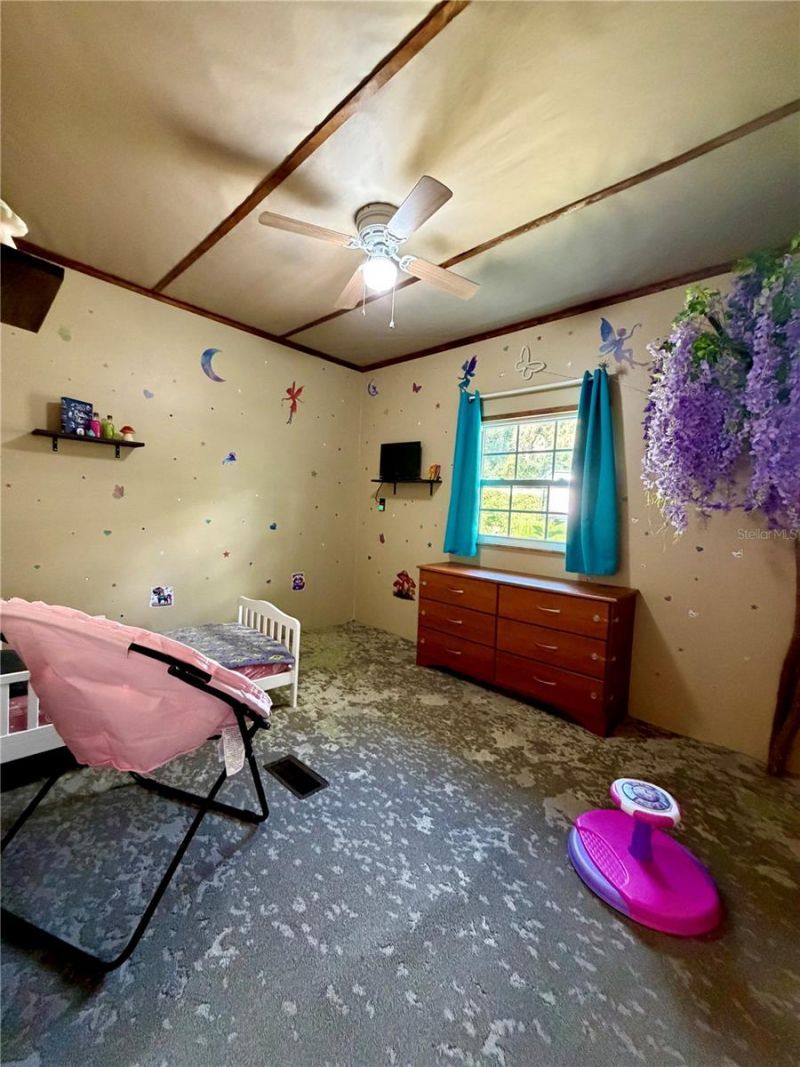 13030 NE 249 Court, Salt Springs, FL 32134 Photo