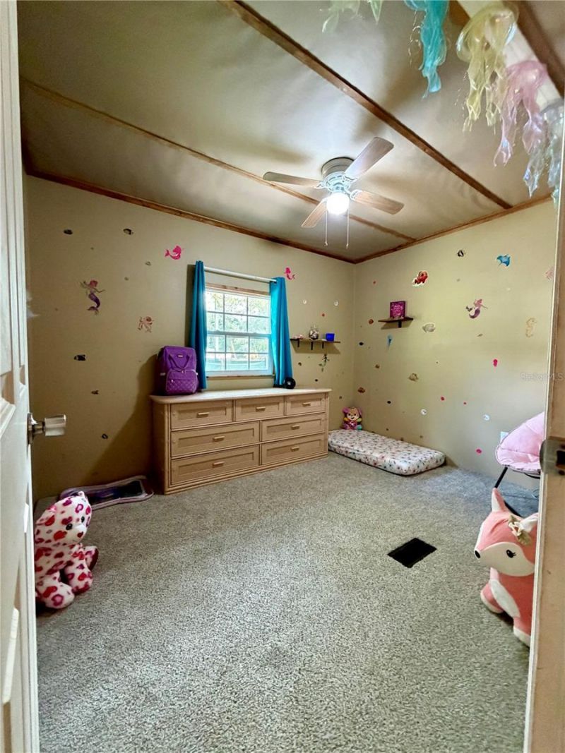13030 NE 249 Court, Salt Springs, FL 32134 Photo
