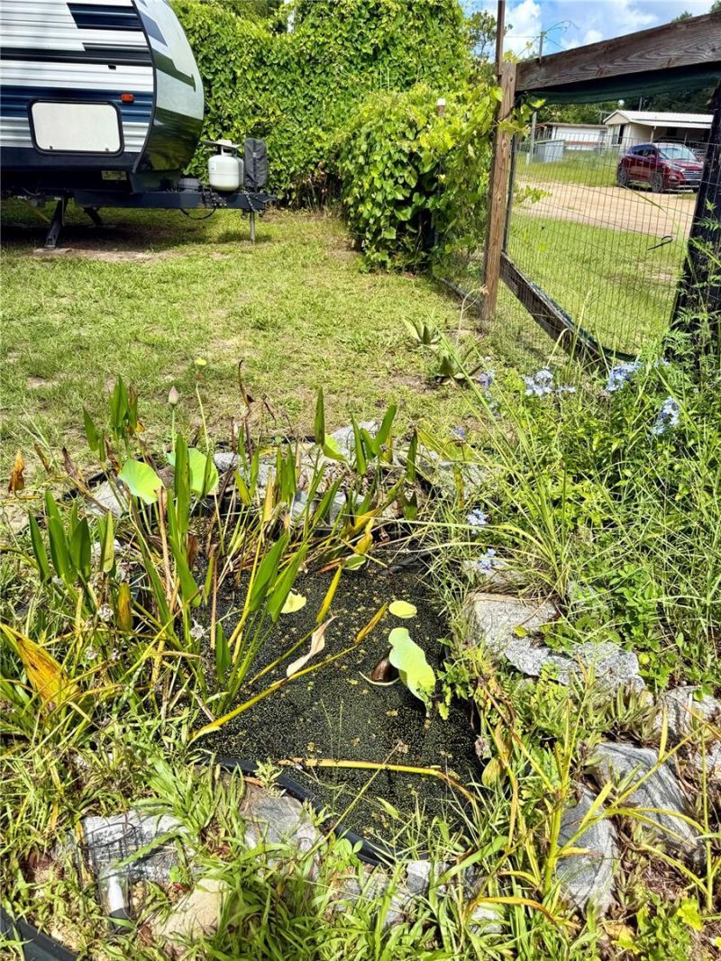 13030 NE 249 Court, Salt Springs, FL 32134 Photo