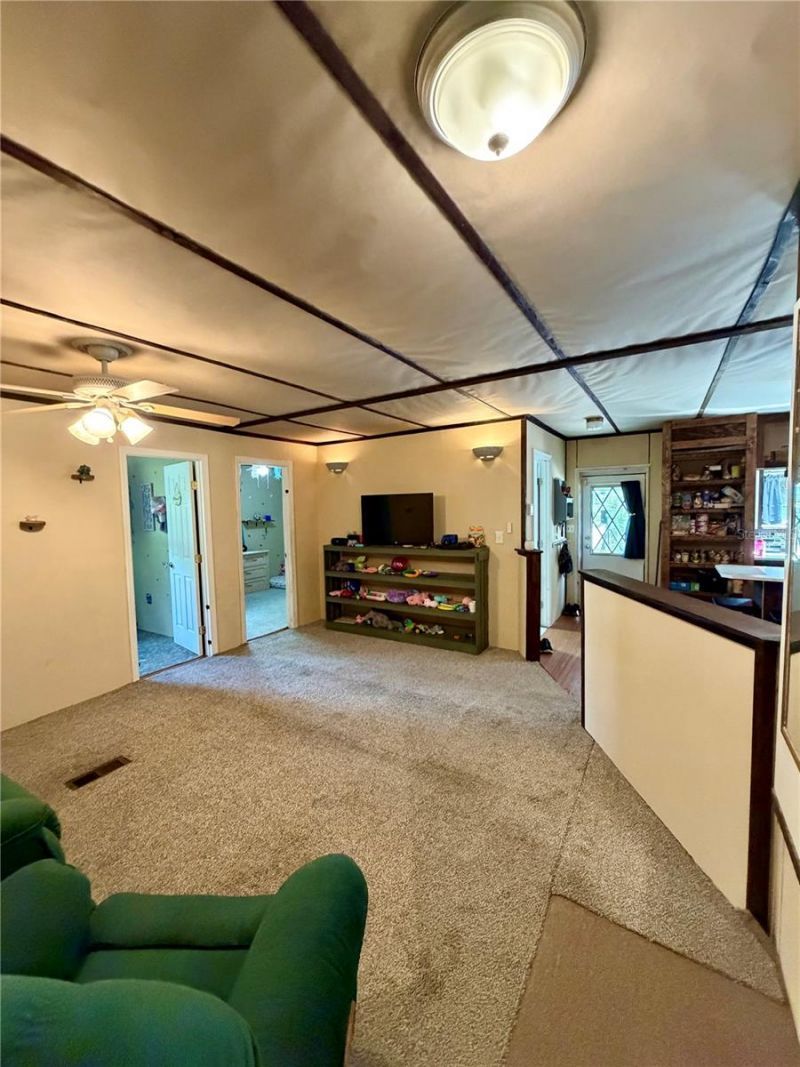 13030 NE 249 Court, Salt Springs, FL 32134 Photo