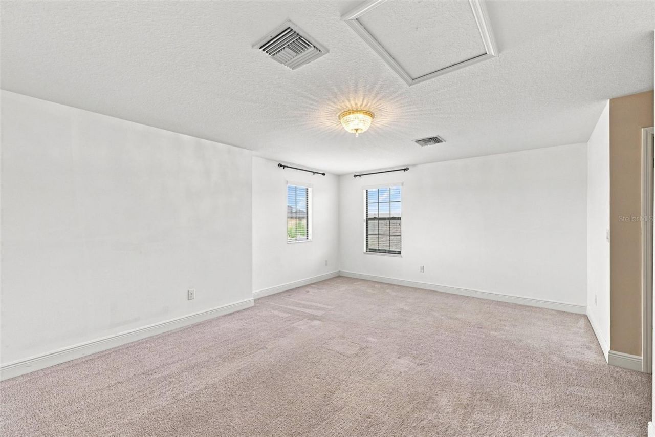 12835 Satin Lily Drive, Riverview, FL 33579 Photo