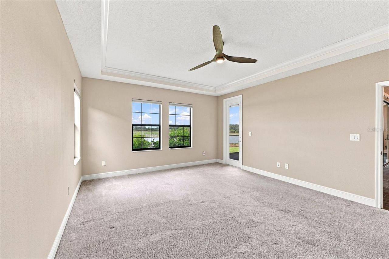 12835 Satin Lily Drive, Riverview, FL 33579 Photo