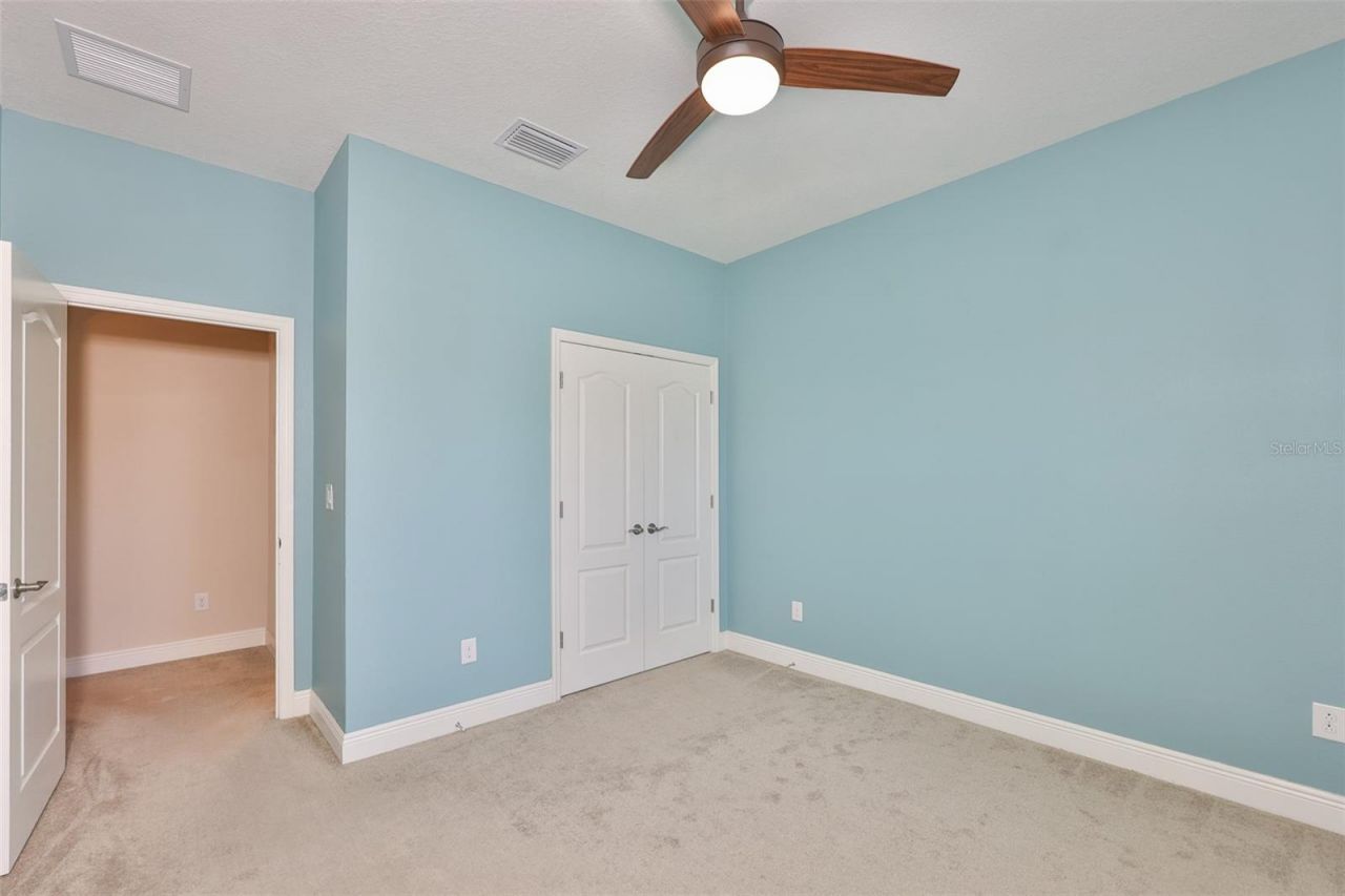 12835 Satin Lily Drive, Riverview, FL 33579 Photo