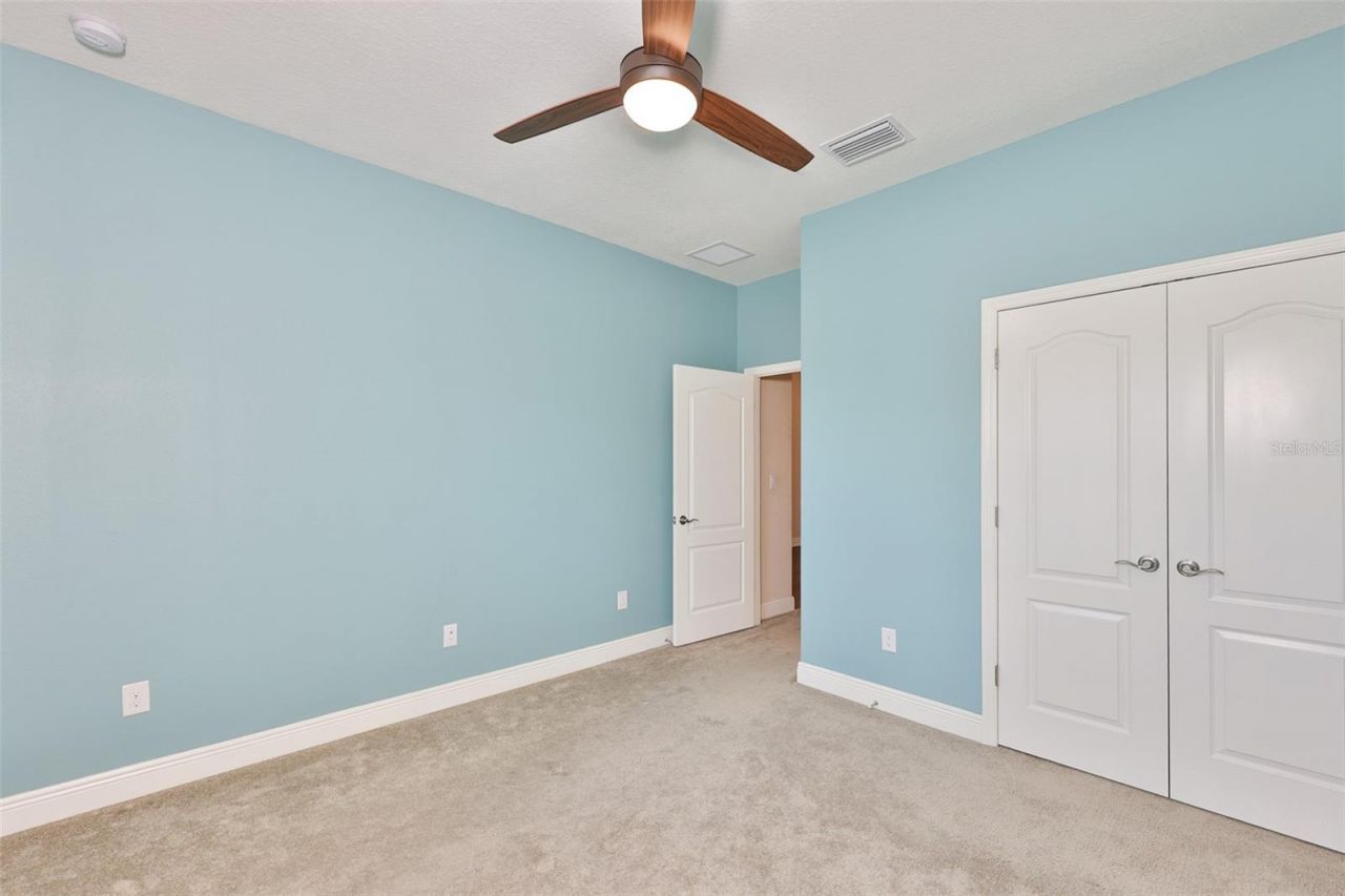 12835 Satin Lily Drive, Riverview, FL 33579 Photo