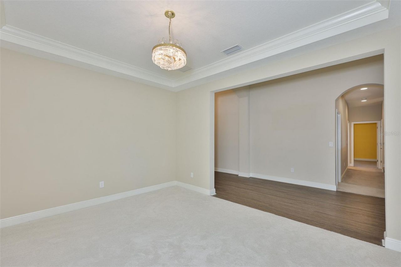 12835 Satin Lily Drive, Riverview, FL 33579 Photo