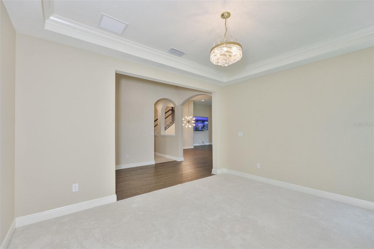 12835 Satin Lily Drive, Riverview, FL 33579 Photo