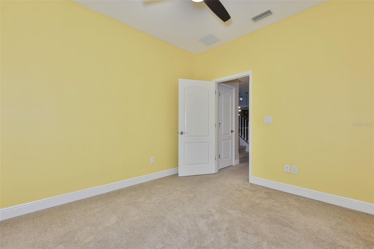 12835 Satin Lily Drive, Riverview, FL 33579 Photo
