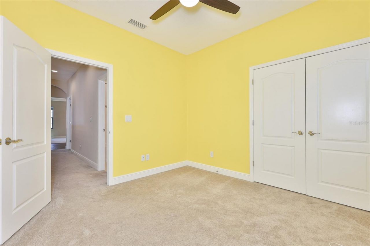 12835 Satin Lily Drive, Riverview, FL 33579 Photo
