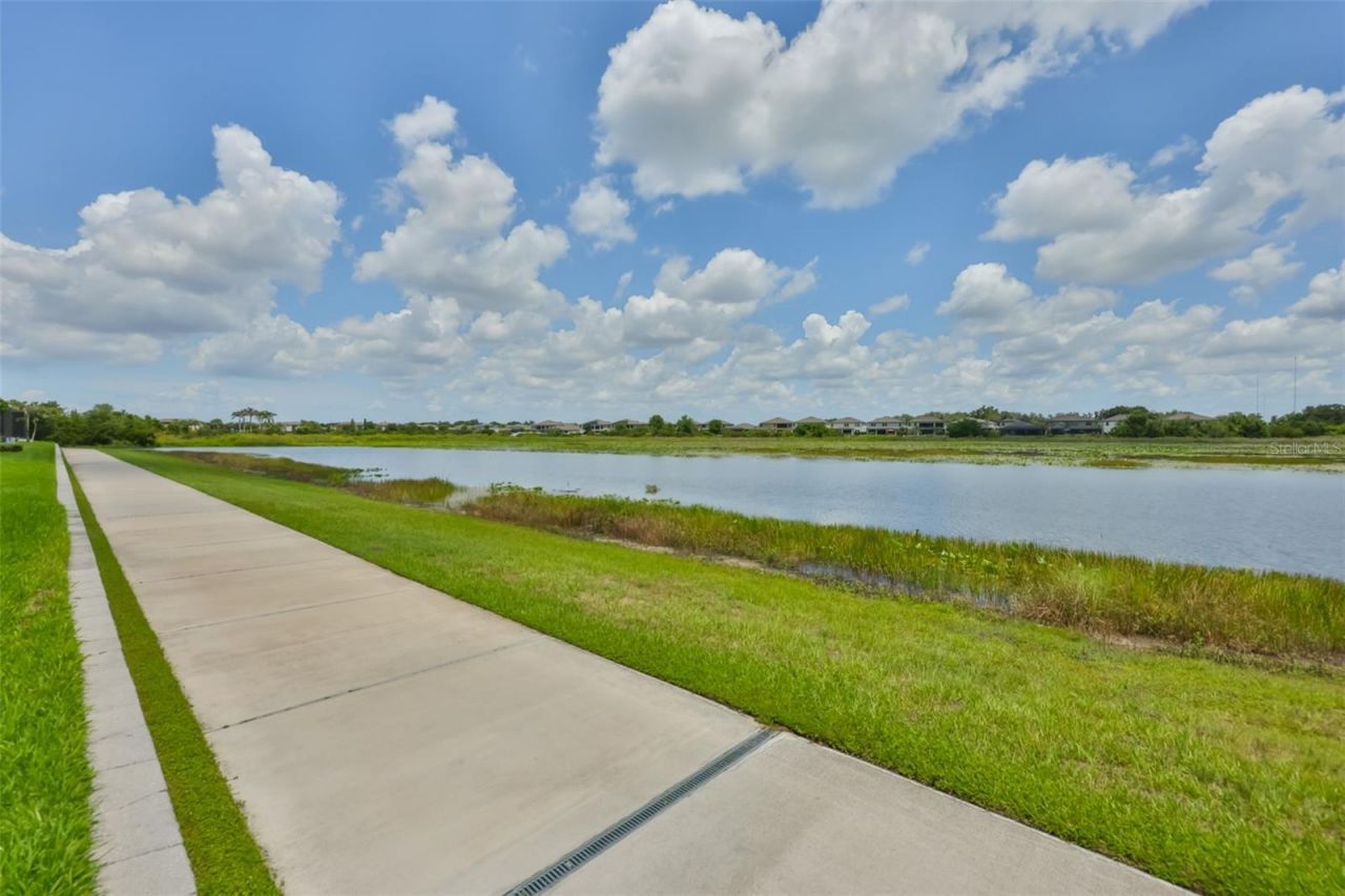 12835 Satin Lily Drive, Riverview, FL 33579 Photo