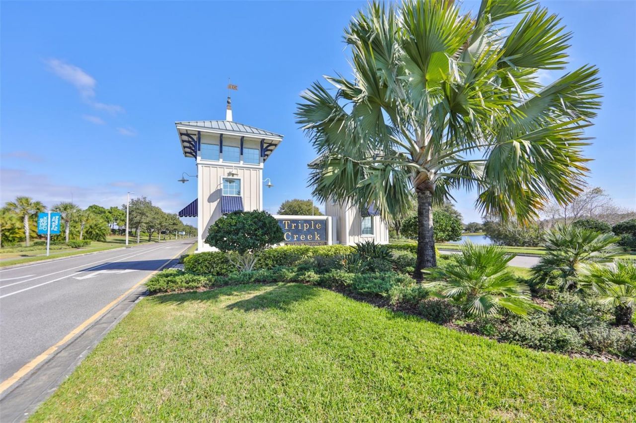 12835 Satin Lily Drive, Riverview, FL 33579 Photo