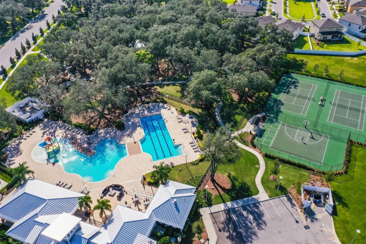 12835 Satin Lily Drive, Riverview, FL 33579 Photo