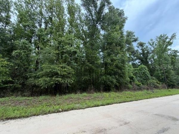 NE 312TH AVENUE , OLD TOWN, FL 32680