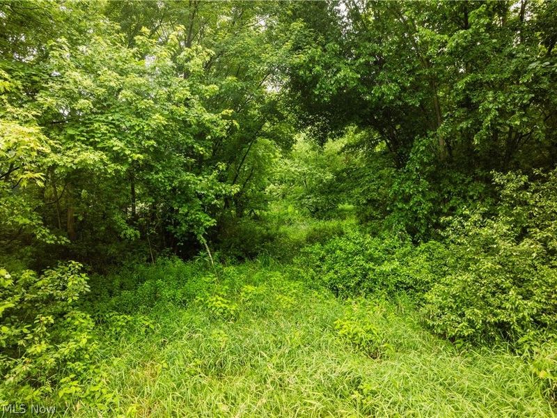 Nw State Route 93, Dundee, OH 44624 Photo 11