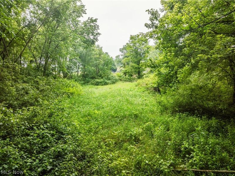 Nw State Route 93, Dundee, OH 44624 Photo 15