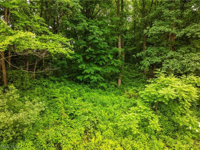Nw State Route 93, Dundee, OH 44624 Photo 6