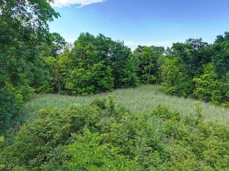 389 Opal Court , Streetsboro, OH 44241 Photo 4