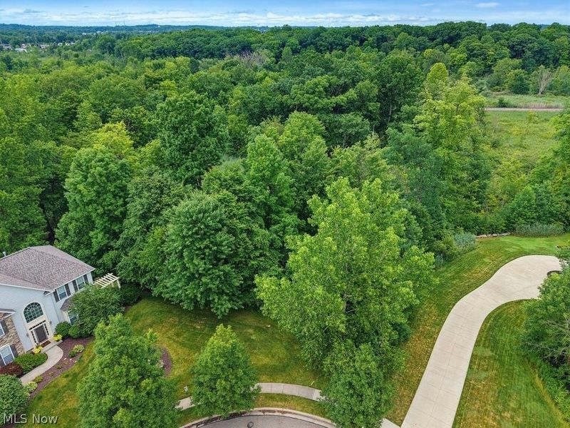 389 Opal Court , Streetsboro, OH 44241 Photo 7