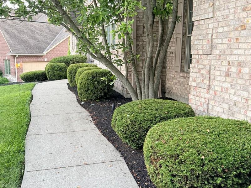 4250 Tylers Estates Drive, West Chester, OH 45069 Photo 3