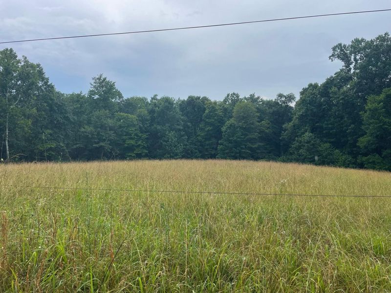 1663 Orpheus Road , Thurman, OH 45685 Photo 14