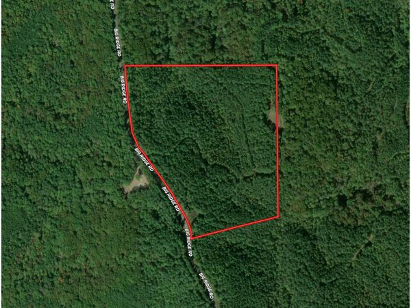 33 ACRES Big Ridge Road, Ranger, GA 30734