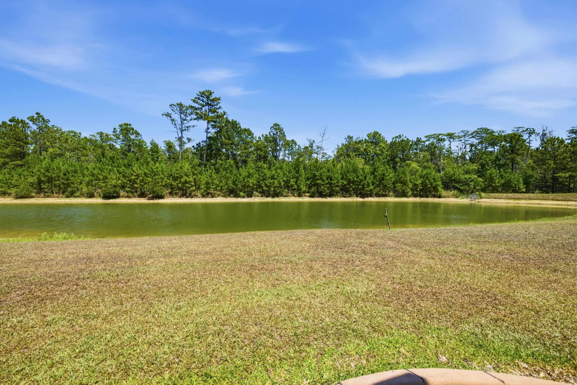 909 Cypress Way Photo 38
