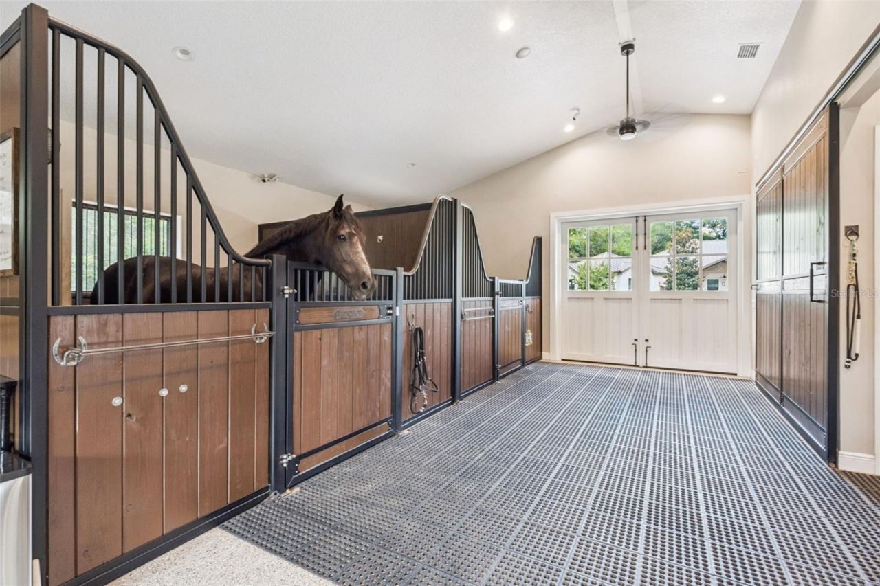 20401 Wolf Springs Court, Clermont, FL 34715 Photo