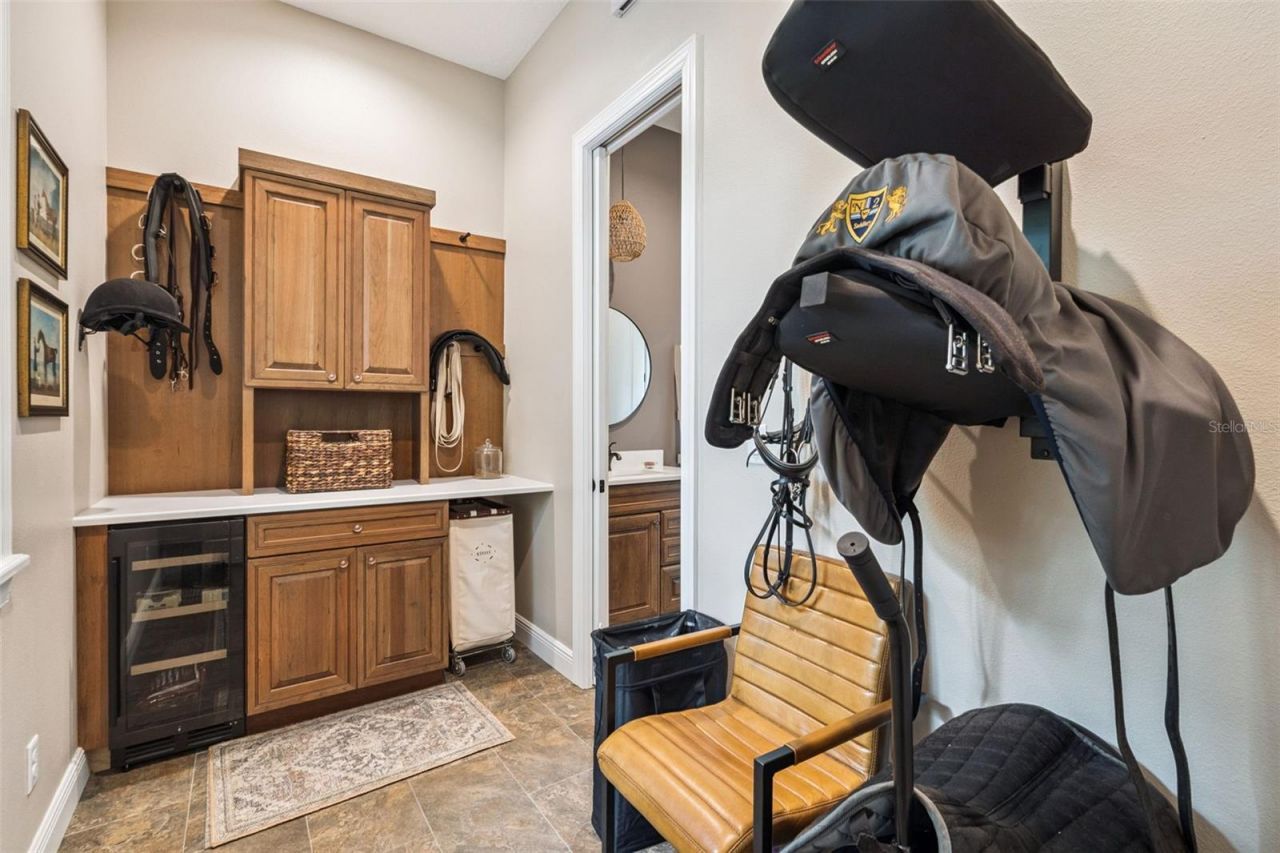 20401 Wolf Springs Court, Clermont, FL 34715 Photo