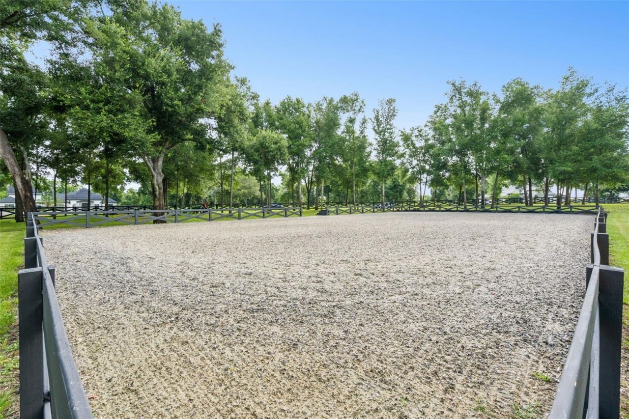 20401 Wolf Springs Court, Clermont, FL 34715 Photo