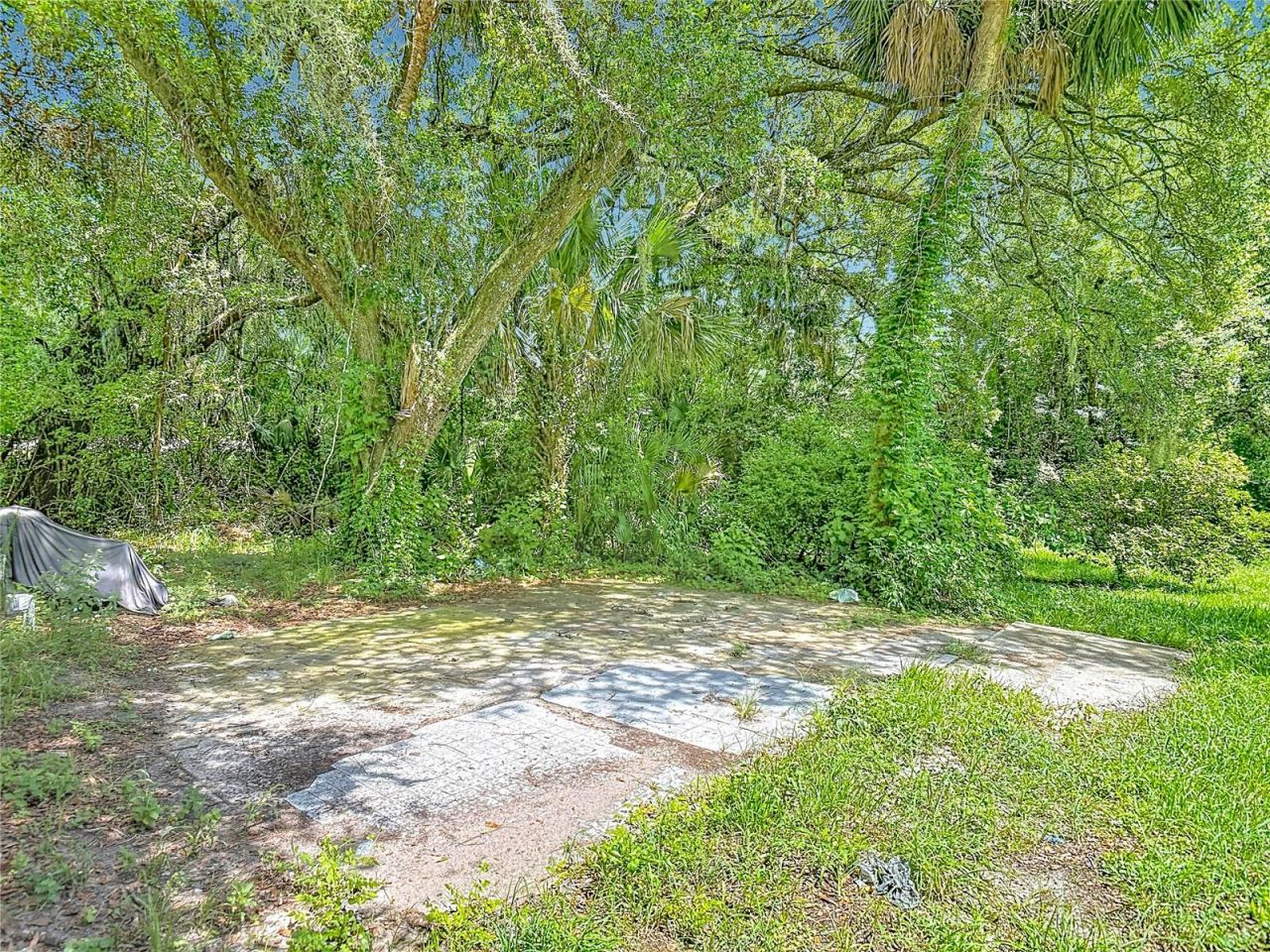 24930 Avenue C , Paisley, FL 32767 Photo