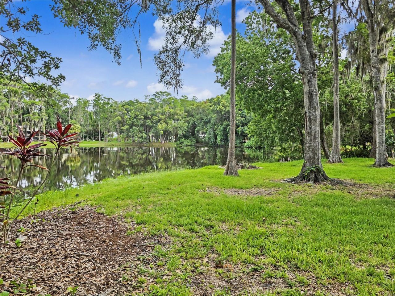 2202 Amity Court , New Port Richey, FL 34655 Photo