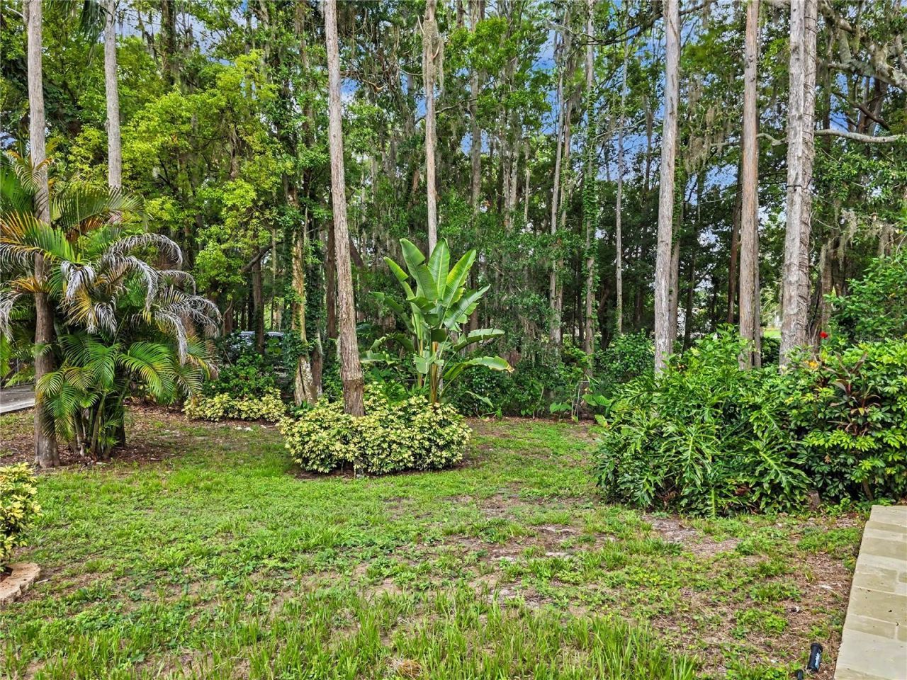 2202 Amity Court , New Port Richey, FL 34655 Photo
