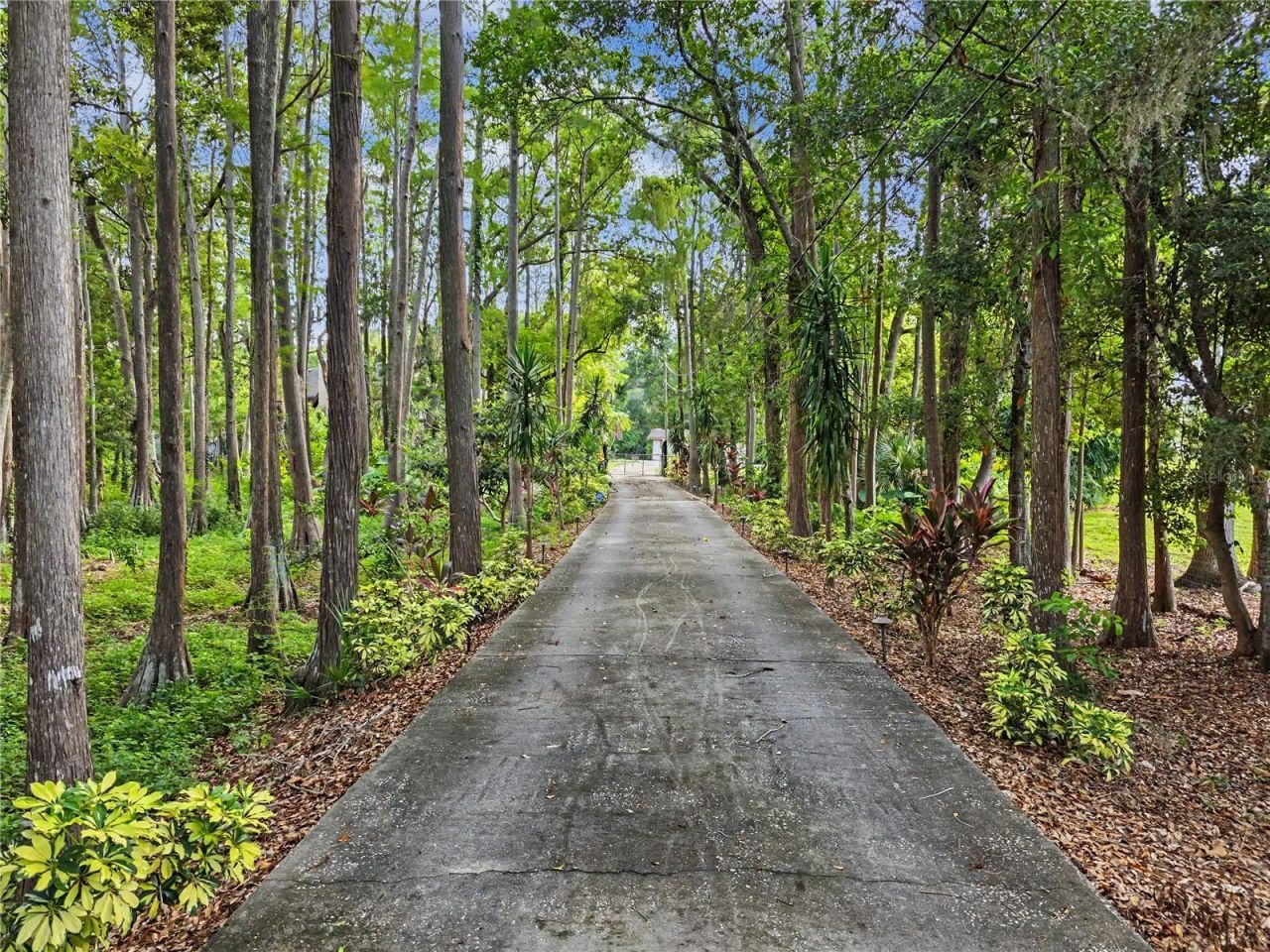 2202 Amity Court , New Port Richey, FL 34655 Photo